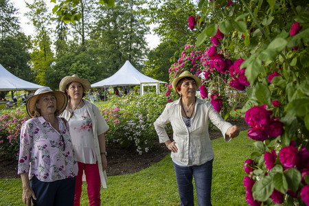 Geschwinds Schönste foto Mateja Račevski